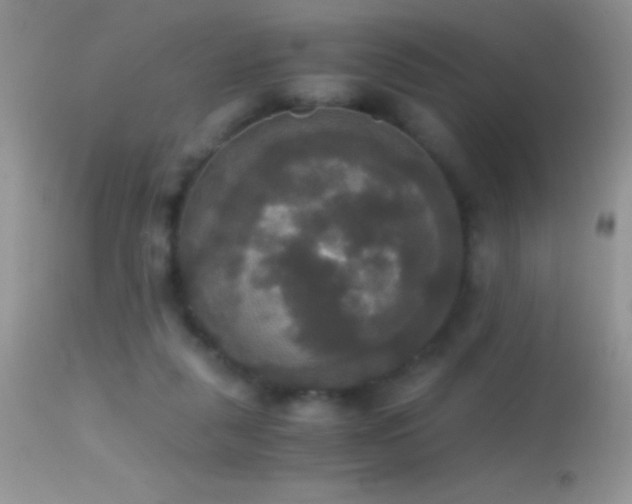 X0000114640259200910201449