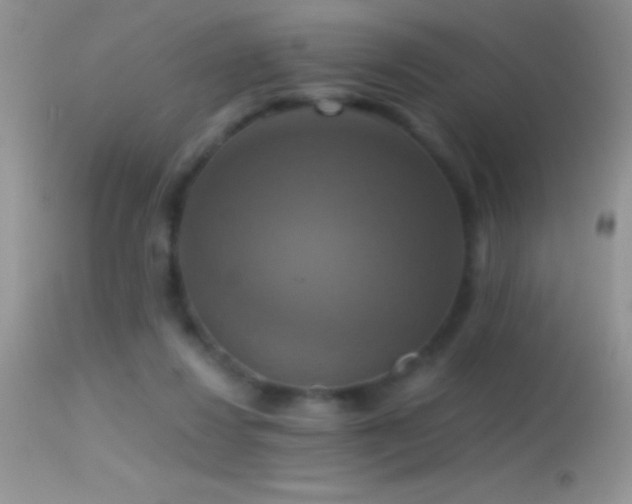 X0000114640260200910201449