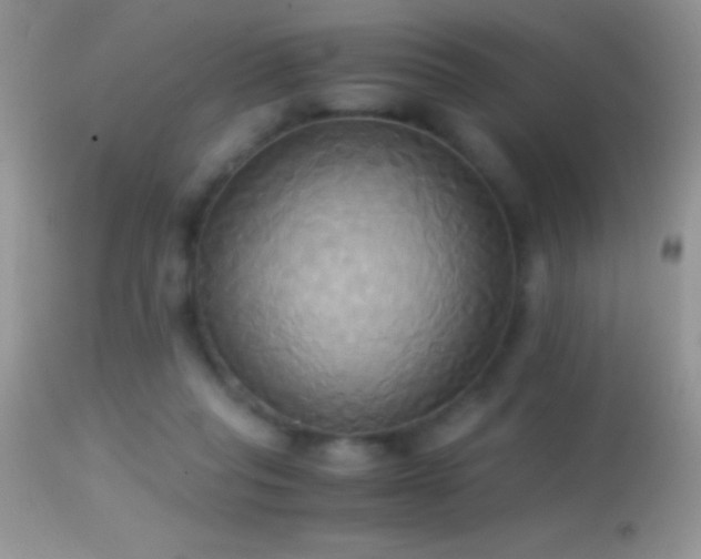X0000114640261200910201449