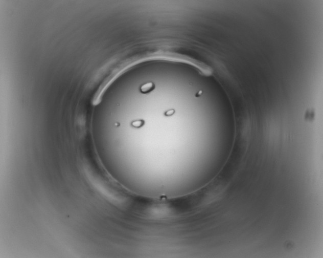 X0000114640262200910201449