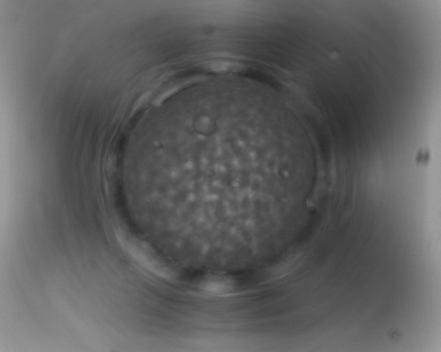 X0000114640263200910201449