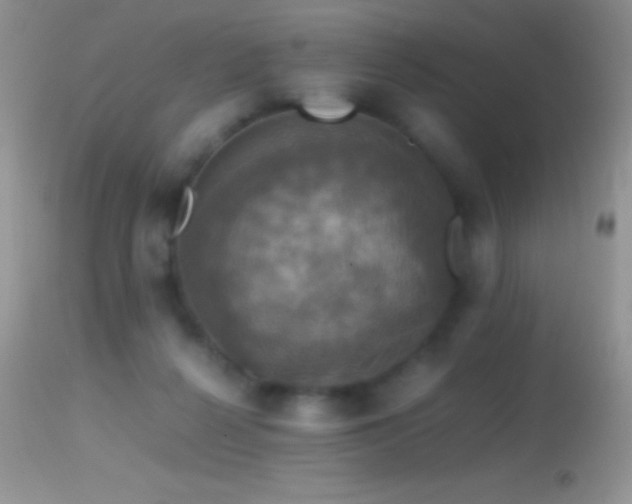 X0000114640264200910201449
