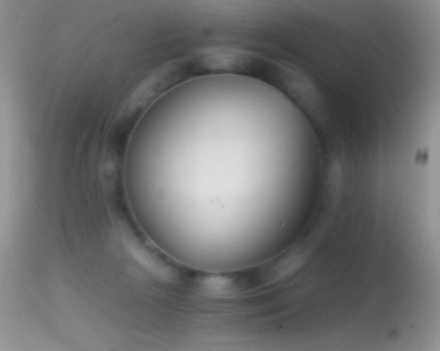 X0000114640265200910201449