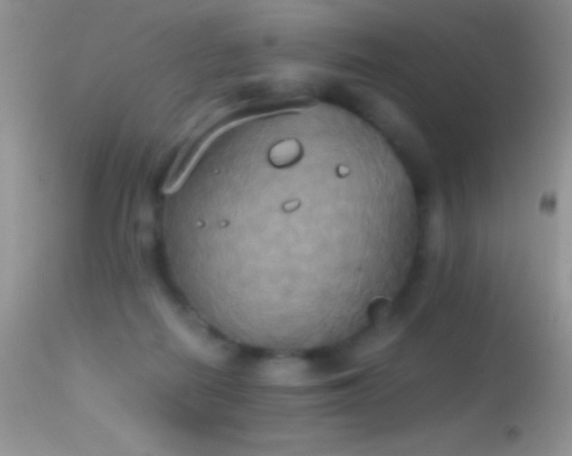 X0000114640266200910201449