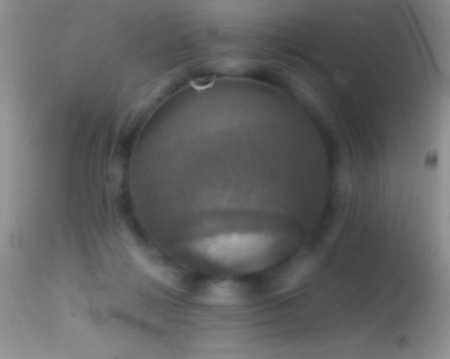 X0000114640268200910201449
