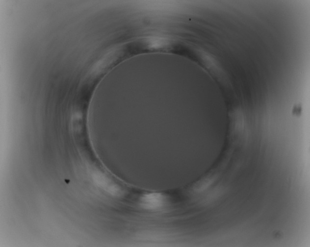 X0000114640269200910201449