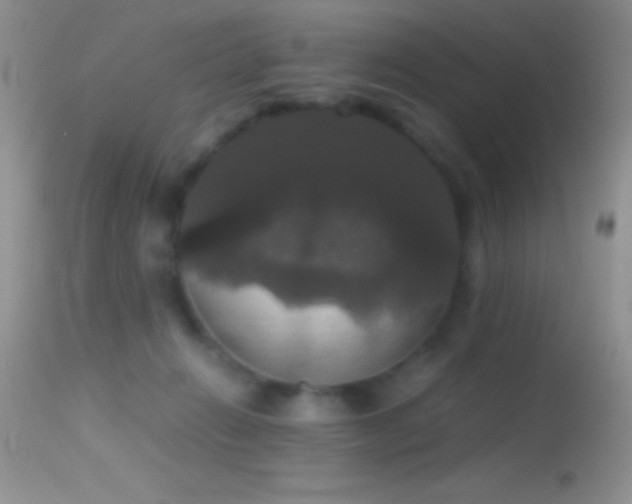 X0000114640270200910201449
