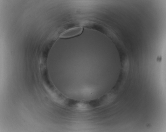 X0000114640272200910201449
