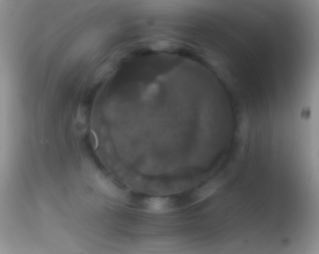 X0000114640273200910201449