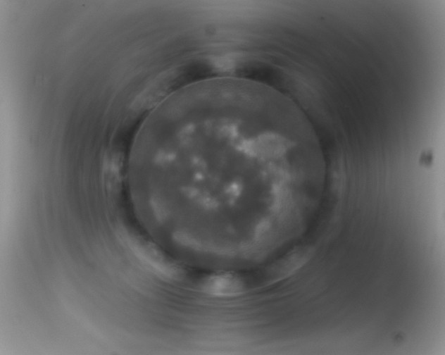 X0000114640275200910201449