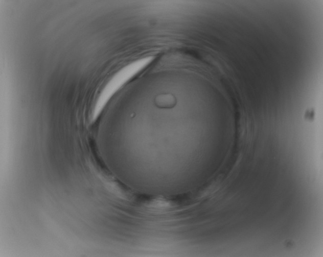 X0000114640276200910201449