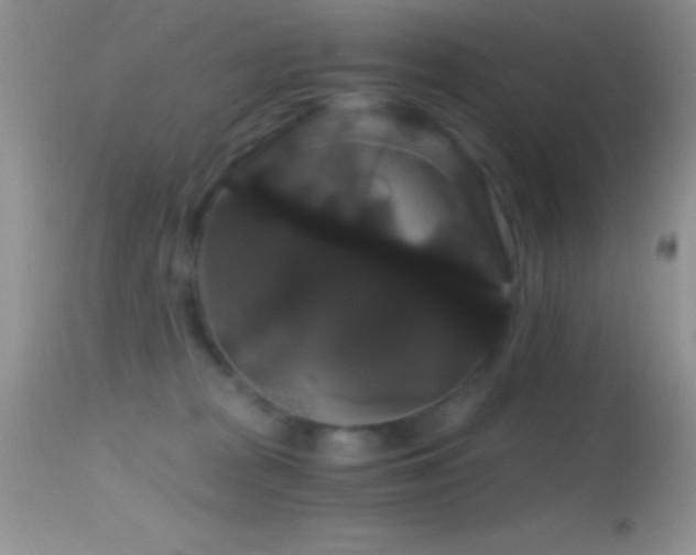 X0000114640277200910201449