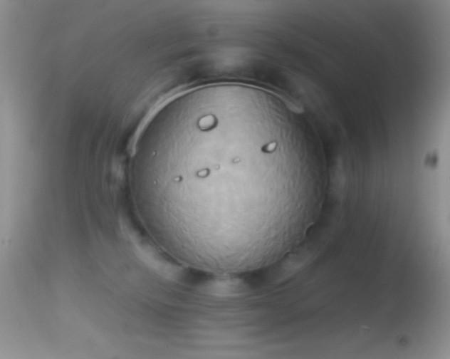 X0000114640278200910201449