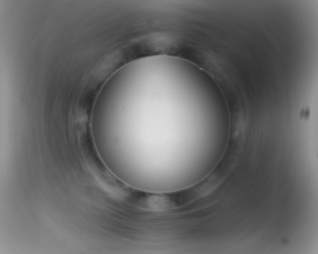 X0000114640279200910201449