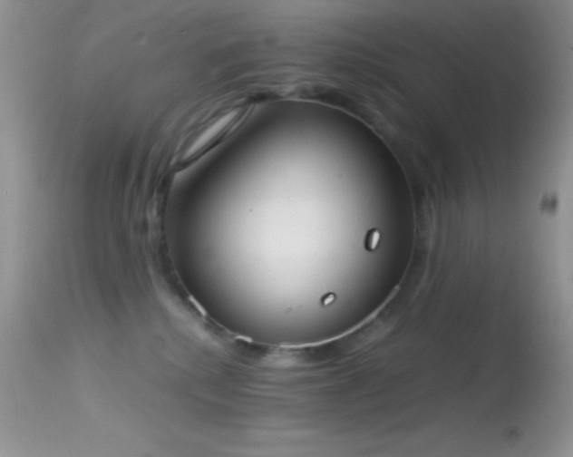 X0000114640280200910201449
