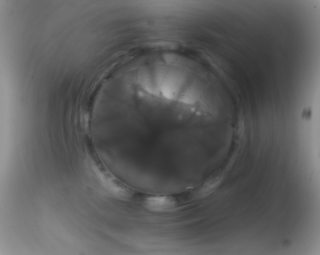 X0000114640281200910201449