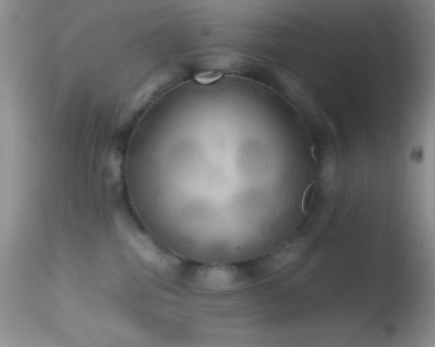 X0000114640282200910201449