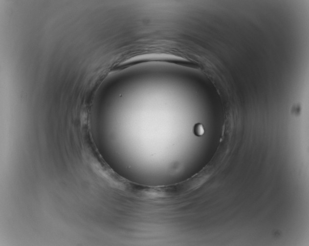 X0000114640284200910201449