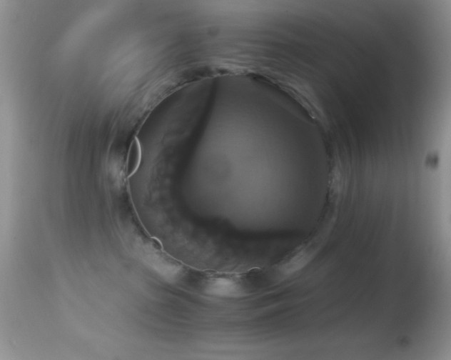 X0000114640285200910201449