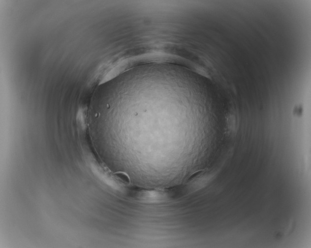 X0000114640286200910201449