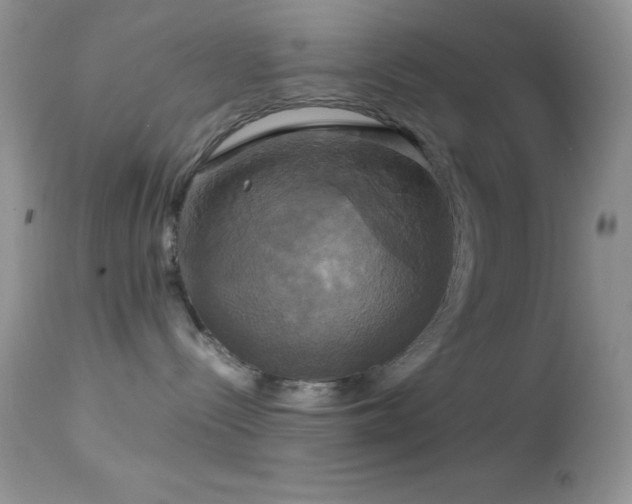 X0000114640288200910201449