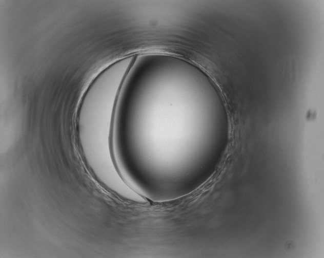 X0000114640289200910201449