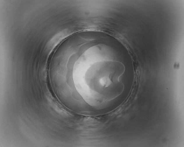 X0000114640290200910201449