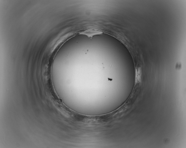 X0000114640291200910201449