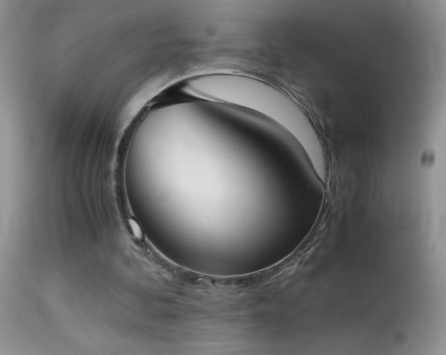 X0000114640292200910201449