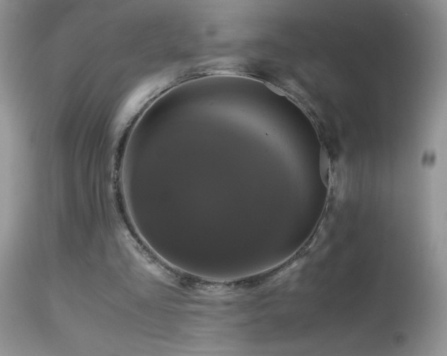 X0000114640293200910201449
