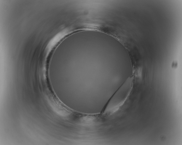 X0000114640294200910201449