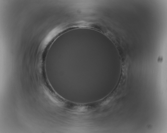 X0000114640295200910201449