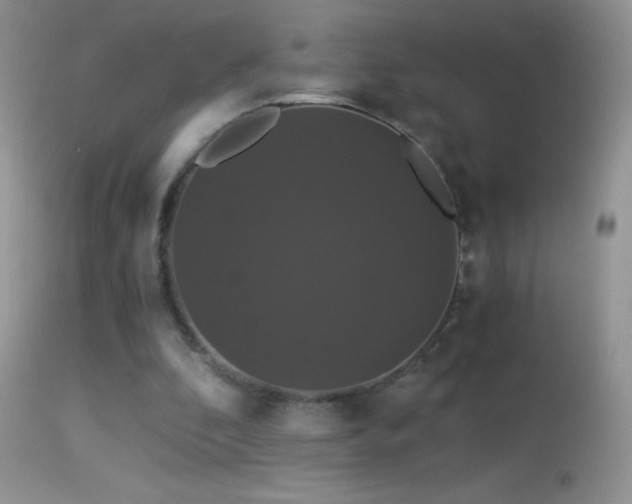 X0000114640296200910201449