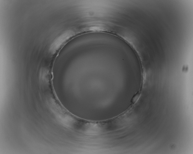 X0000114640297200910201449