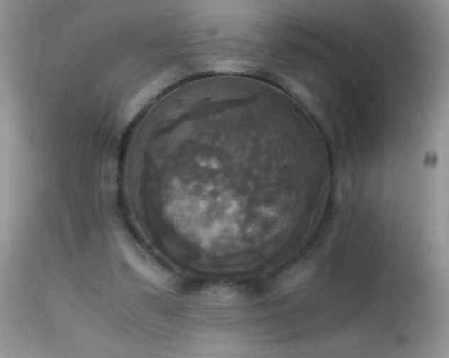 X0000114640299200910201449