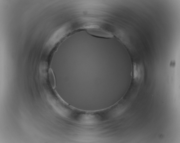 X0000114640300200910201449