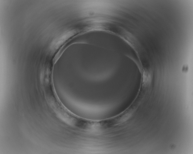 X0000114640301200910201449