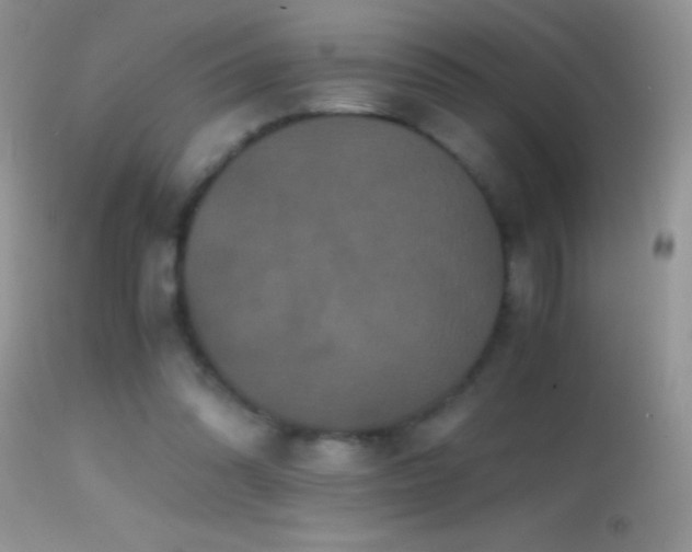 X0000114640302200910201449