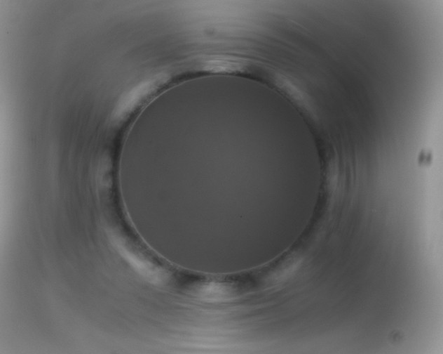 X0000114640303200910201449