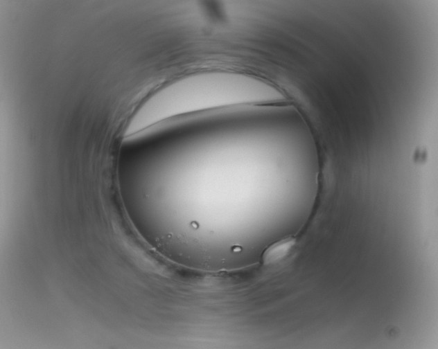 X0000114640305200910201449