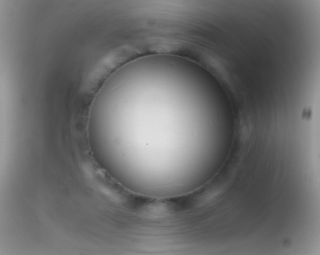 X0000114640307200910201448