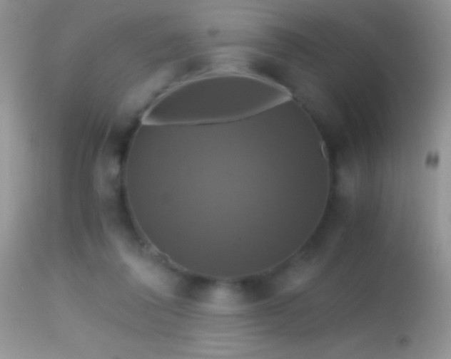 X0000114640308200910201448