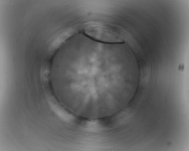 X0000114640309200910201448
