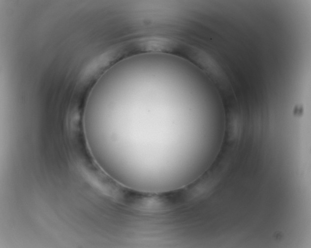 X0000114640310200910201448