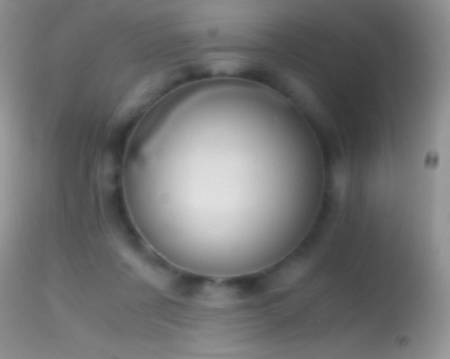 X0000114640311200910201448