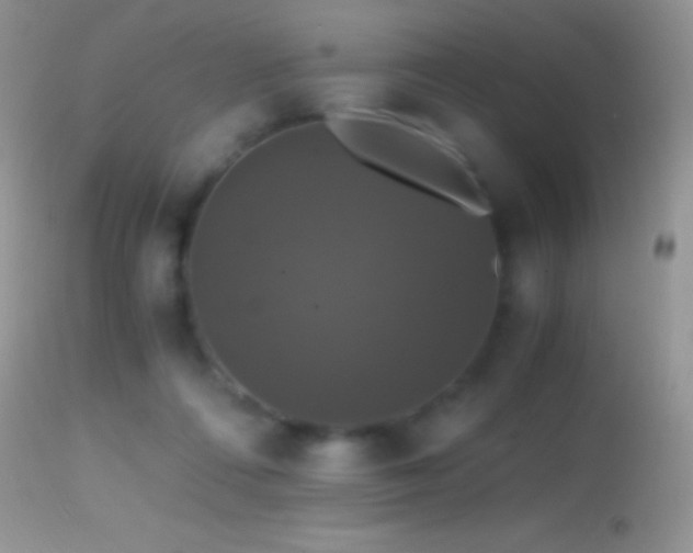 X0000114640312200910201448