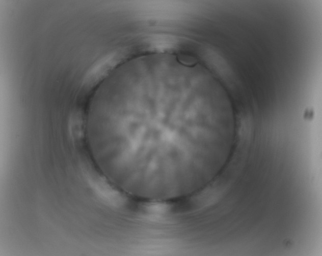 X0000114640313200910201448