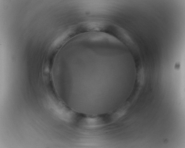 X0000114640314200910201448