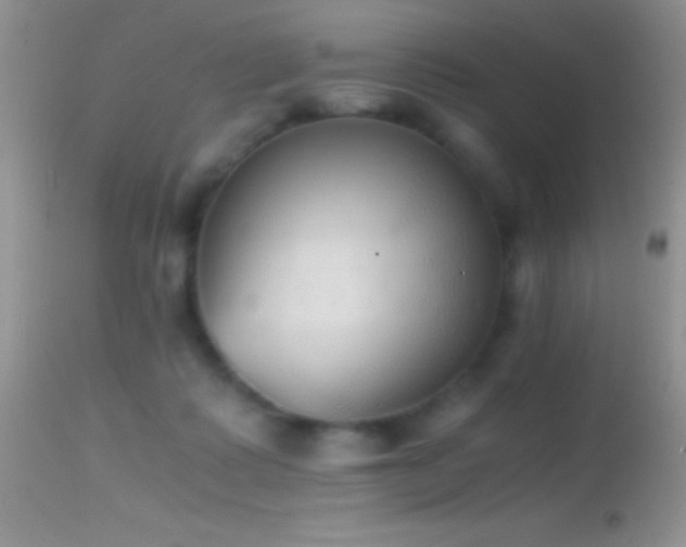 X0000114640315200910201448