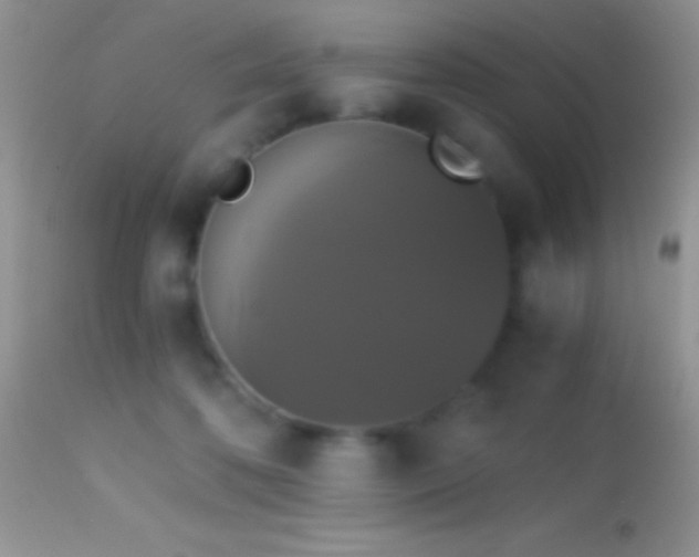X0000114640316200910201448